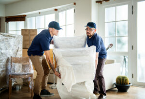 Junk Removal